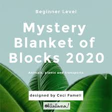 You can create warm scarves, cozy blankets, cute sweaters, durable washcloths and more if you know how to knit. Beginner Blanket Mkal 2020 Intro And Faq Oh La Lana