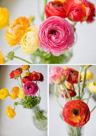 Arranjo De Ranunculus Flowers Flower Arrangements Beautiful Flowers