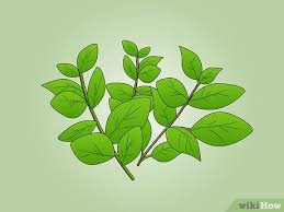 Check spelling or type a new query. Cara Membuat Inai Henna Dengan Gambar Wikihow