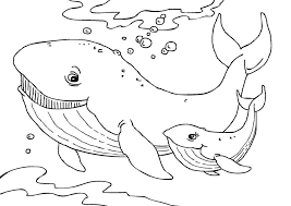 Whale animal coloring with simple draw. Pin On Arts Crafts