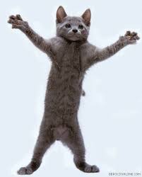 Meister der extravaganz und epos wünscht ihnen alles gute zum geburtstag. Gasolinedude Animiert Geburtstagswunsche Katze Gif Behjgoxwkpvajm Auf Dieser Seite Findest Du Coole Witzige Und Lustige Animierte Gifs Bilder Und Bewegte Bilder Malvorlagen Cliparts Schone Animationen Aus Der Rubrik Geburtstag