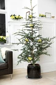 Maybe you would like to learn more about one of these? Tres Arboles De Navidad Decorados Con Poinsettias Para Tres Estilos