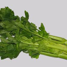 More images for how do you grow celery » How To Grow Celery For Spring Or Fall Dengarden
