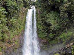Pengunjung juga bisa menyewa pemandu untuk menemani perjalanan menuju air terjun. Air Terjun Les Buleleng Lokasi Daya Tarik Tempat Wisata Alam Di Bali