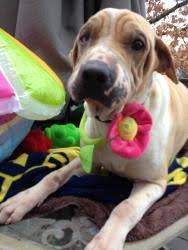 It's high quality and easy to use. Ellie Vielhuber Ellievielhuber On Pinterest