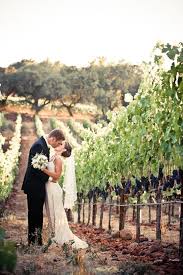 Paradise Ridge Winery Wedding Beth David Vineyard Wedding Winery Weddings Wine Wedding