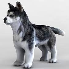 3dsmax Siberian Husky Puppy 3d Model Husky Puppy Husky Siberian Husky