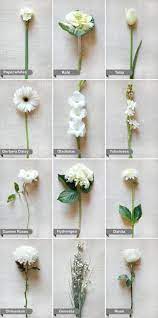 Learn more about your favorite flowers including flower type images, facts & care tips. Wedding Chicks White Wedding Flowers Hochzeitsblumen Blumenstrauss Hochzeit Blumenarten