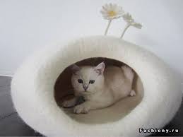 Idei Dlya Doma Chast 3 Kovriki Svoimi Rukami Iz Loskutkov Gatti Animali Gatti Carini