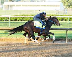 .@nbcnews' @stevekornacki is back to break down how past kentucky derby winners have. Kentucky Derby 2021 Profile Midnight Bourbon Horse Racing News