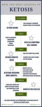 Complete Beginner S Guide To Ketogenic Diet Ketosis Diet Keto Diet Meal Plan No Carb Diets