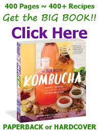 Is Kombucha Tea Safe To Consume While Pregnant Ask The Kombucha Mamma