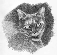 A sketch by michael bromley @michlbrmly code on github. Draw A Cat In Four Steps More Or Less Carol S Drawing Blog