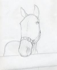 We did not find results for: How To Draw Horse Head
