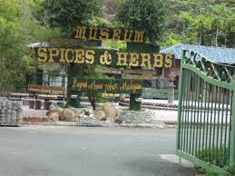 Jadinya pihak ketiga dapat mengesahkan dengan lebih mudah modal yang anda miliki. Nasuha Herbs And Spices Farm Muar Malaysia Gokayu Your Travel Guide