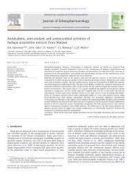 Image result for Fadogia ancylantha