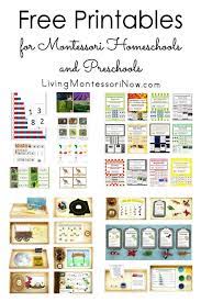 See all the available packs in my resource library and sign up. Free Printables For Montessori Homeschools And Preschools Montessori Activities Preschool Montessori Lessons Montessori Toddler Activities
