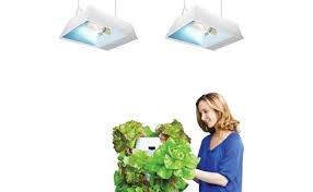 This one, however, has a pleasing white light. Everything You Need To Know About Indoor Gardening