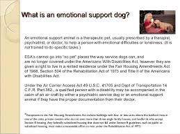 Your animal at home may help you with coping just fine without an official letter, and you may have to pay. Service Dogs Therapy Dogs Emotional Support Animals