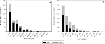 Have brought my car here for two occasions. Insects Free Full Text Colonization Of Three Maple Species By Asian Longhorned Beetle Anoplophora Glabripennis In Two Mixed Hardwood Forest Stands Html