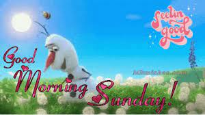 Check spelling or type a new query. Good Morning Sunday Gif Happy Sunday Morning Gif Mk Wishes