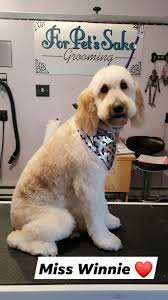 My name is jenna and i have 9+ years of grooming dogs professionally and a lifetime of loving dogs. For Pet S Sake Grooming Reviews Facebook