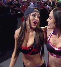 Moved up on the best current female wrestlers signed. Aew Wrestling Roster Divas Drone Fest