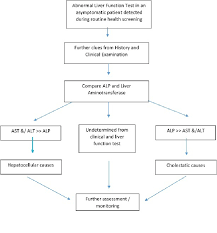 Image result for Liver Function Test Abnormality