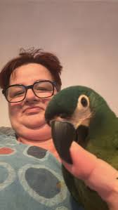 Lost Hahns Macaw Waleska GA August 2024