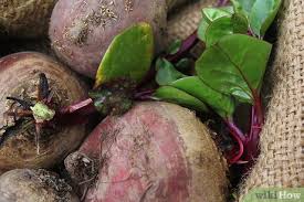 We did not find results for: How To Store Raw Beets 10 Steps With Pictures Wikihow