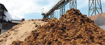 How big is an empty palm oil bunch? Pretreatment Empty Fruit Bunch Of Oil Palm Tree For Improving Enzymatic Saccharification Intechopen