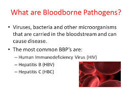 Bloodborne Pathogens Training For School Staff Ppt Video Online Download