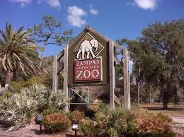 Head out for some fun and relaxation at one of the many indoor venues in the tampa bay area. Top Things To Do In Tampa With Kids Fun Activities For All The Family
