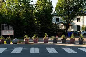 It also allows up to $100 million that was previously designated to build a border wall to instead go to the department of interior. Where U S Canadian Border Is Marked By Petunias Not A Wall The New York Times