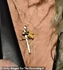 The singer and 2021 grammys performer is nominated for best pop solo performance, best pop vocal album and best music video. Twhn2pyyb2oawm