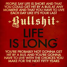 See more ideas about funny insults, funny comebacks, comebacks and insults. Hilarious Bullshit Quotes Quotesgram