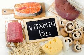 Questi microorganismi si trovano solo negli alimenti di origine animale. Pin On Bellezza