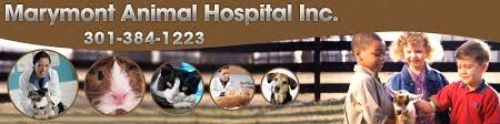 We did not find results for: Animal Hospital Silver Spring Md Marymont Animal Hospital Inc