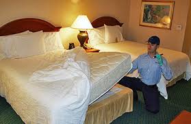 The terminix commercial pest control professionals know highly effective methods of pest control for hotels, and the importance of being quick and discreet to minimize disruptions keep reading to learn more about scale insects' distinguishing features and how to identify different types of scale insects. Pest Control Delhi Pest Control Services Delhi Pest Control Company Delhi Ncr Pest Control Expert Delhi