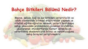 Tanitim