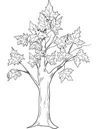 Free, printable coloring pages for adults that are not only fun but extremely relaxing. Printable Fall Tree Coloring Page Free Printable Coloring Pages For Kids