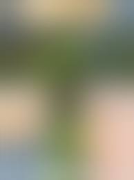 Holen Sie sich Ihren Fix von Simpson Porn Comics mit ComicsPorno Galerien!