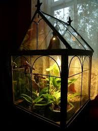 Wardian Case Garden Terrarium Terrarium Plants Terrarium