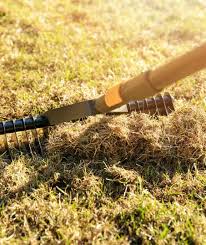 Before dethatching, mow your lawn to about half its usual height. Lawn Dethatching Luna Lawn Care Services