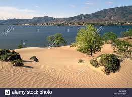 As our town sits in canada's only desert, osoyoos gets very little rain or snow. Pin By Kayla Pfob On To Go Okanagan Valley Scenic Desert Landscaping
