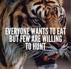Twitter Tiger Quotes Motivation Lion Quotes