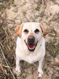 This may be a toughie. Pink tutu to show you she's a lady.