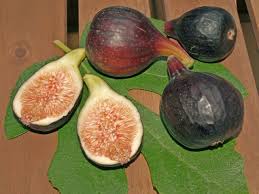 Image result for noire de caromb