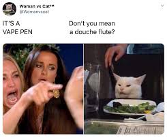 Best Woman Yelling At Cat Memes 28 Of The Funniest Examples Ever