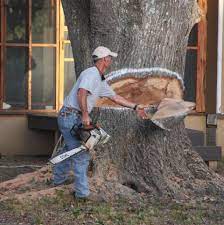 There really isn't words to describe how thankful i am to. Lange S Septic Service Home Facebook